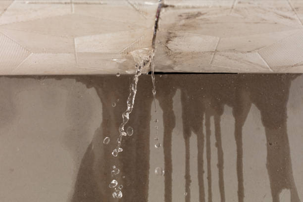 Professional Flood Damage Cleanup technician working in Clarksville, MI